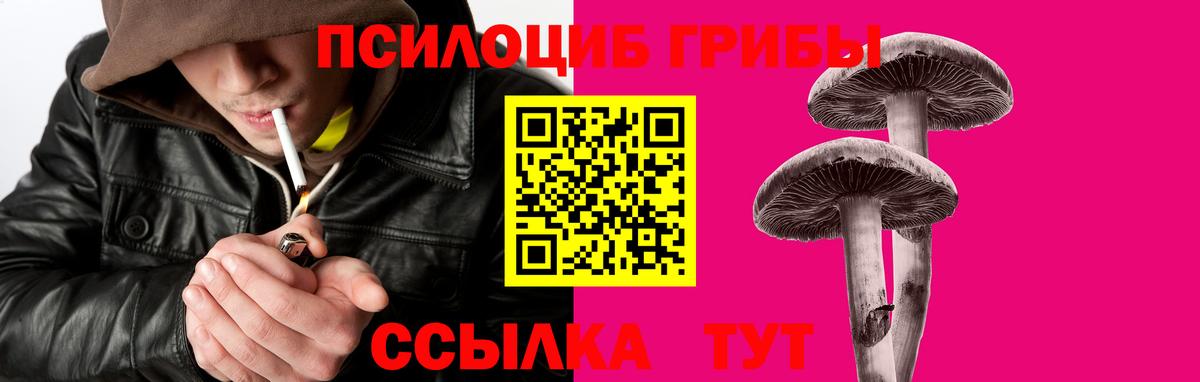Приморско-Ахтарск  Псилоцибиновые грибы мухоморы  Псилоцибиновые грибы мухоморы  Вход с VPN 